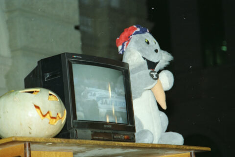 Dragan Gojić — fotografija sa protesta 96/97