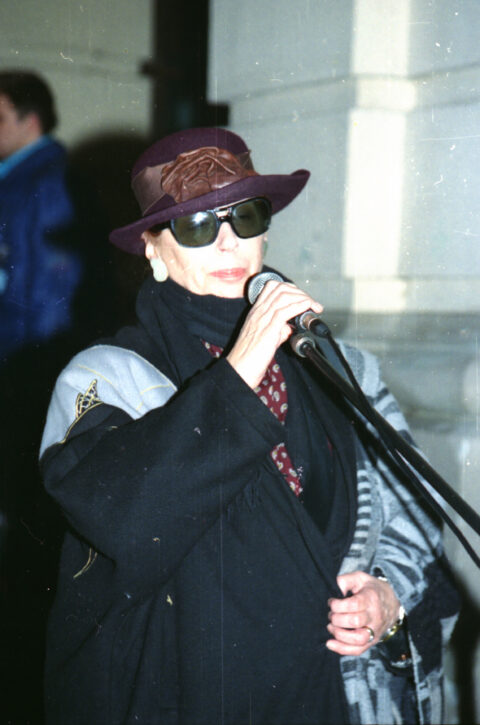 Dragan Gojić — fotografija sa protesta 96/97